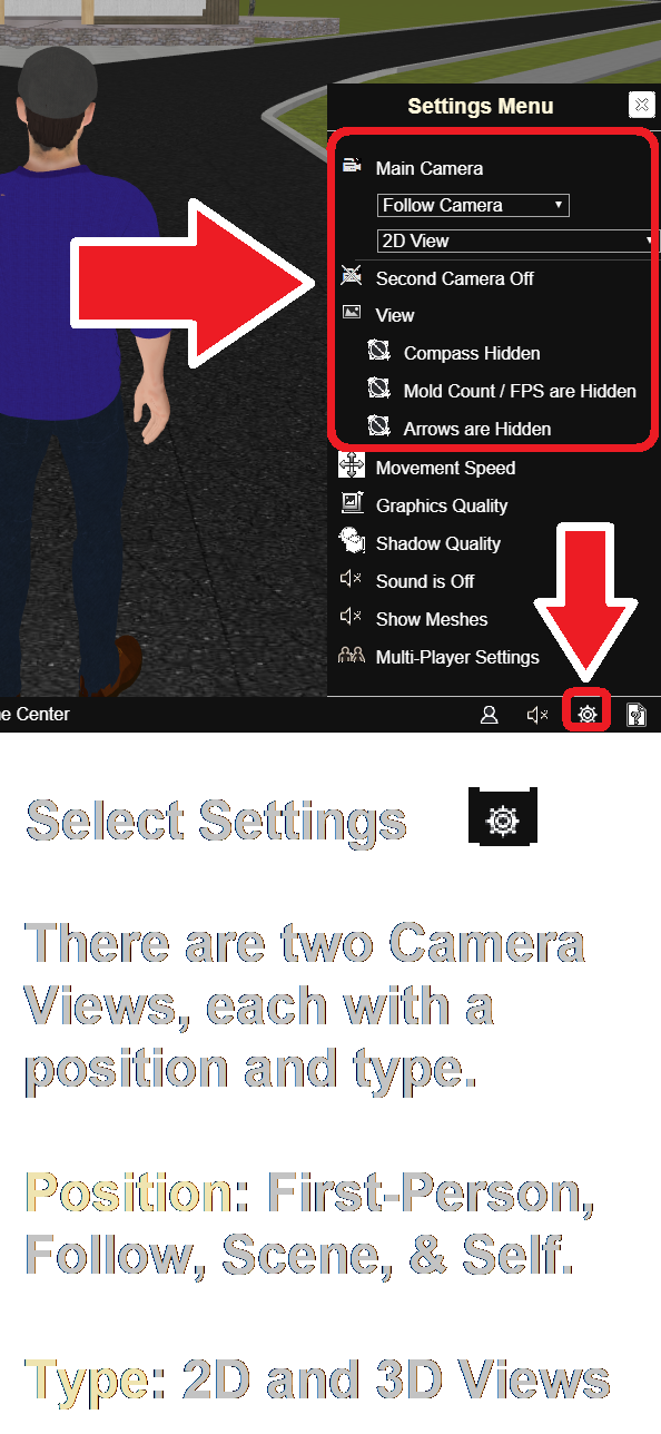 Camera Position and Views